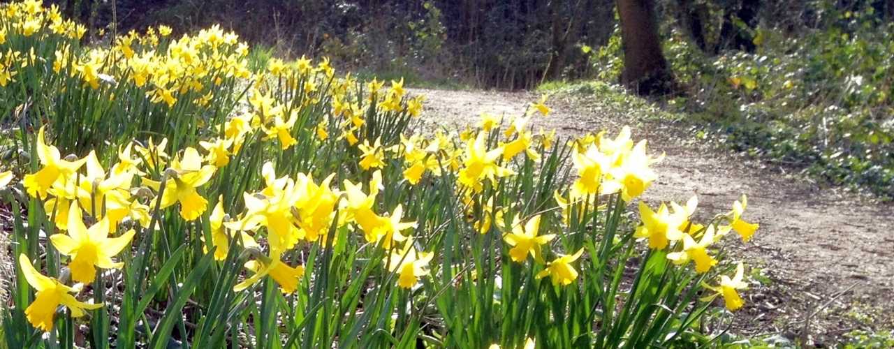 redermalisation #springfreshface